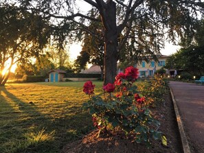 A garden with a tree and red flowers, a pathway, and a building with blue shutters in the background. - Le Melchior (Sainte-Terre)