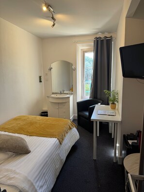 A hotel room with a bed, a desk with a chair, a television, a window with curtains, and a potted plant. - Le Melchior (Sainte-Terre)