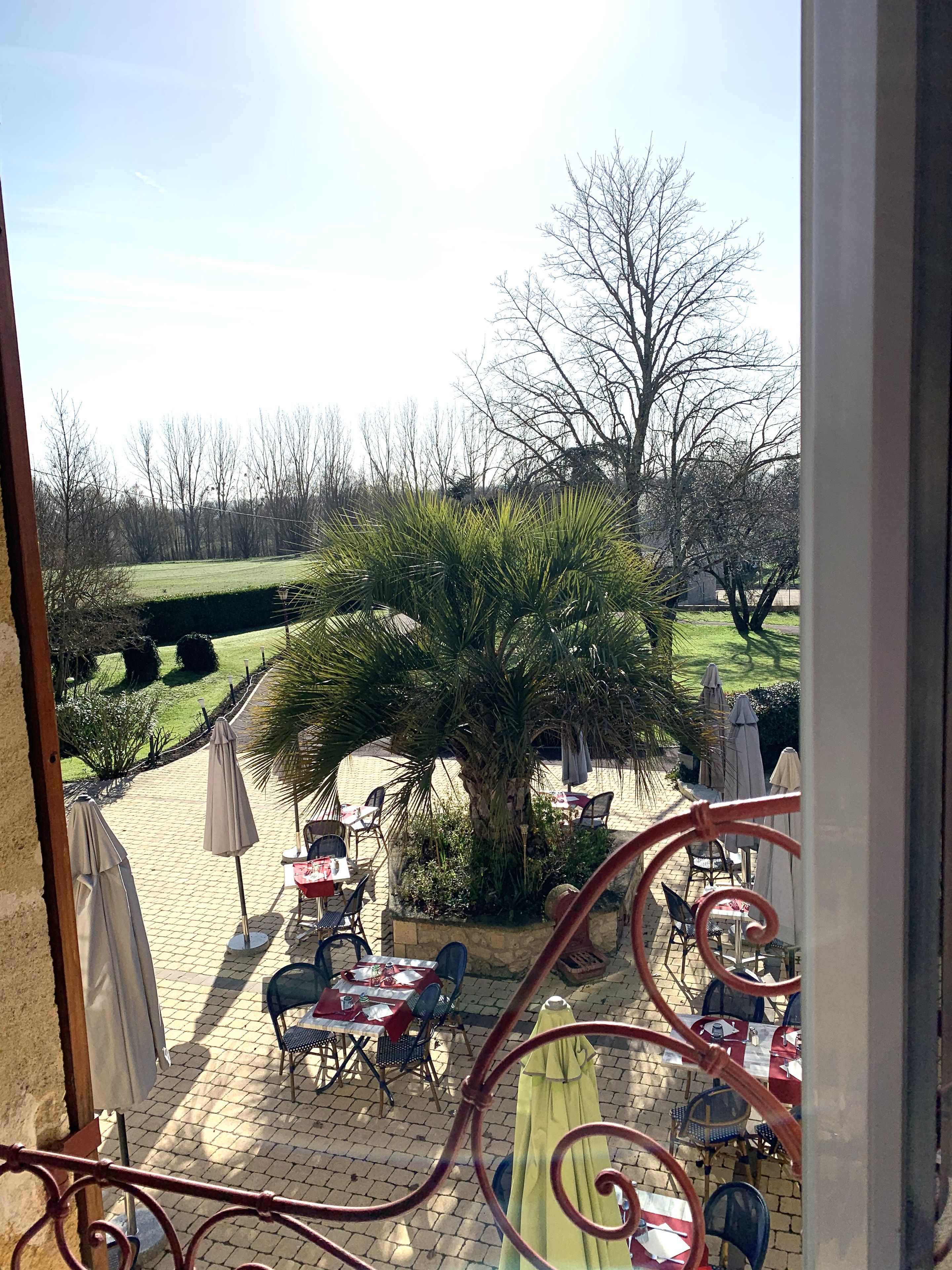Un espace extérieur aménagé en terrasse, avec des tables et des chaises, un palmier et une vue sur un jardin paysager.
