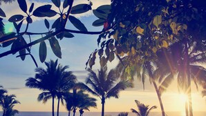 A beach scene with palm trees and a sunset. - Villa Diosa del Mar (Veintisiete de Abril)