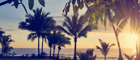 Pemandangan dari hartanah