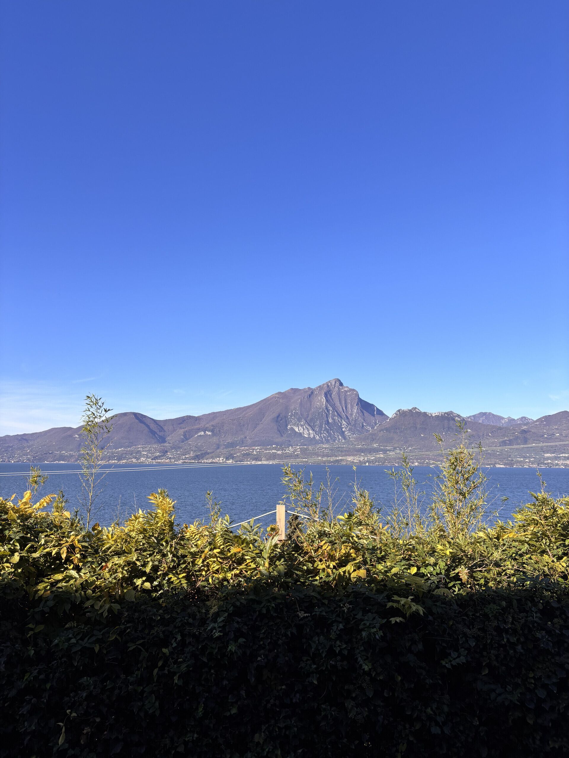 A coastal landscape with a mountain in the background, a body of water in the foreground, and a hedge in the middle ground.