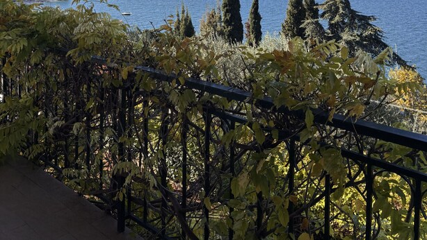 A balcony with a view of a lake, trees, and distant mountains. - Villa Patrizia (Torri del Benaco)