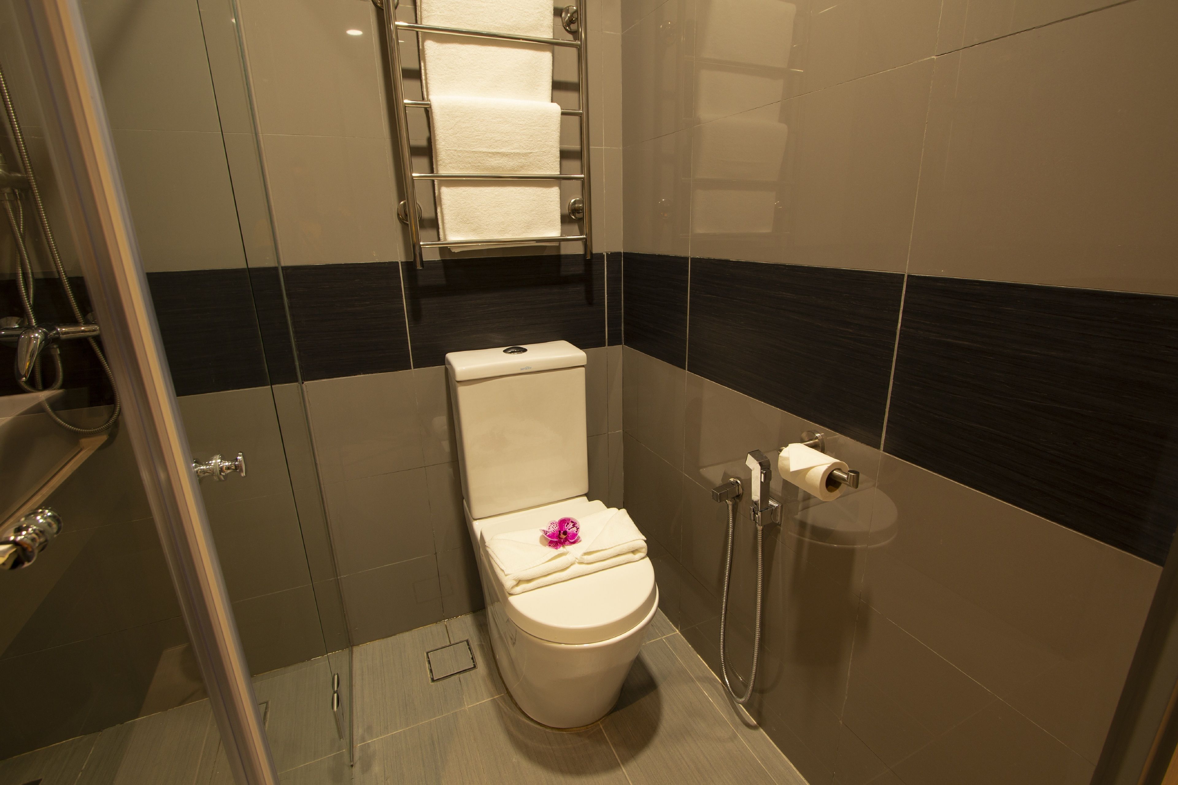 standard king room | bathroom | shower, rainfall showerhead, free toiletries, bidet