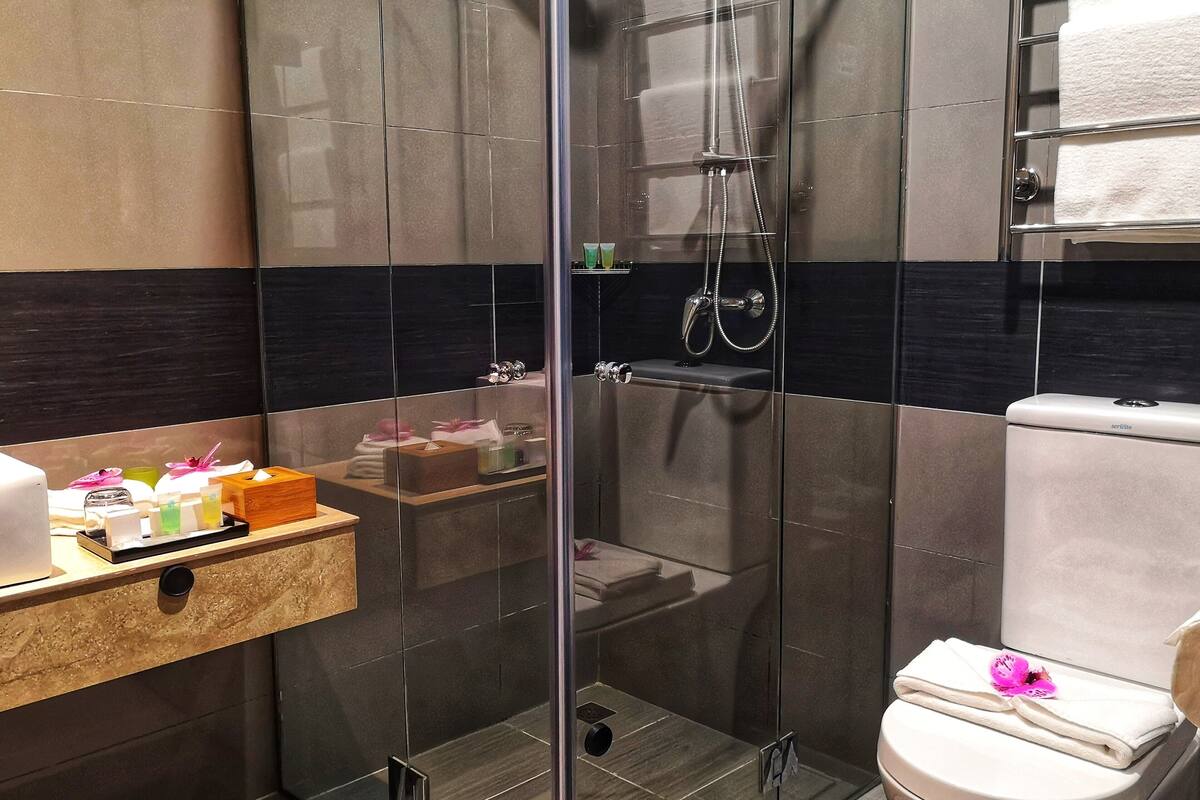 standard king room | bathroom shower