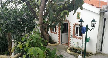 Mana Guest House