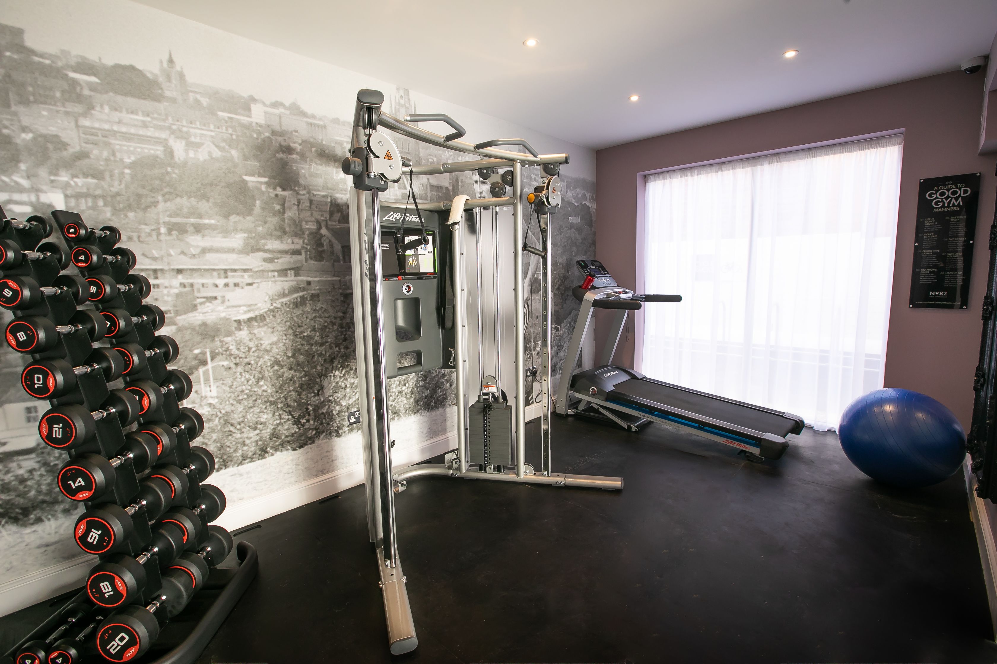 A gym with a wall-mounted dumbbell rack, a weight machine, a treadmill, and a blue exercise ball.