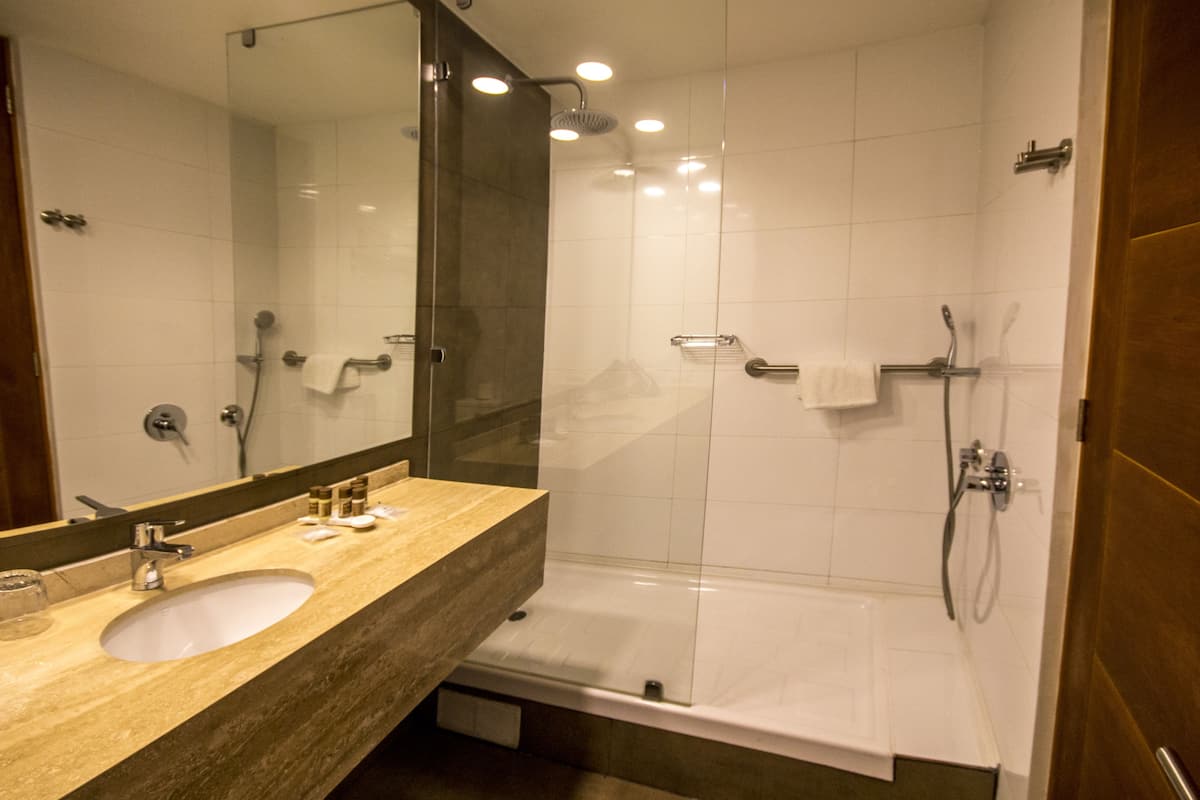 shower, free toiletries, hair dryer, towels