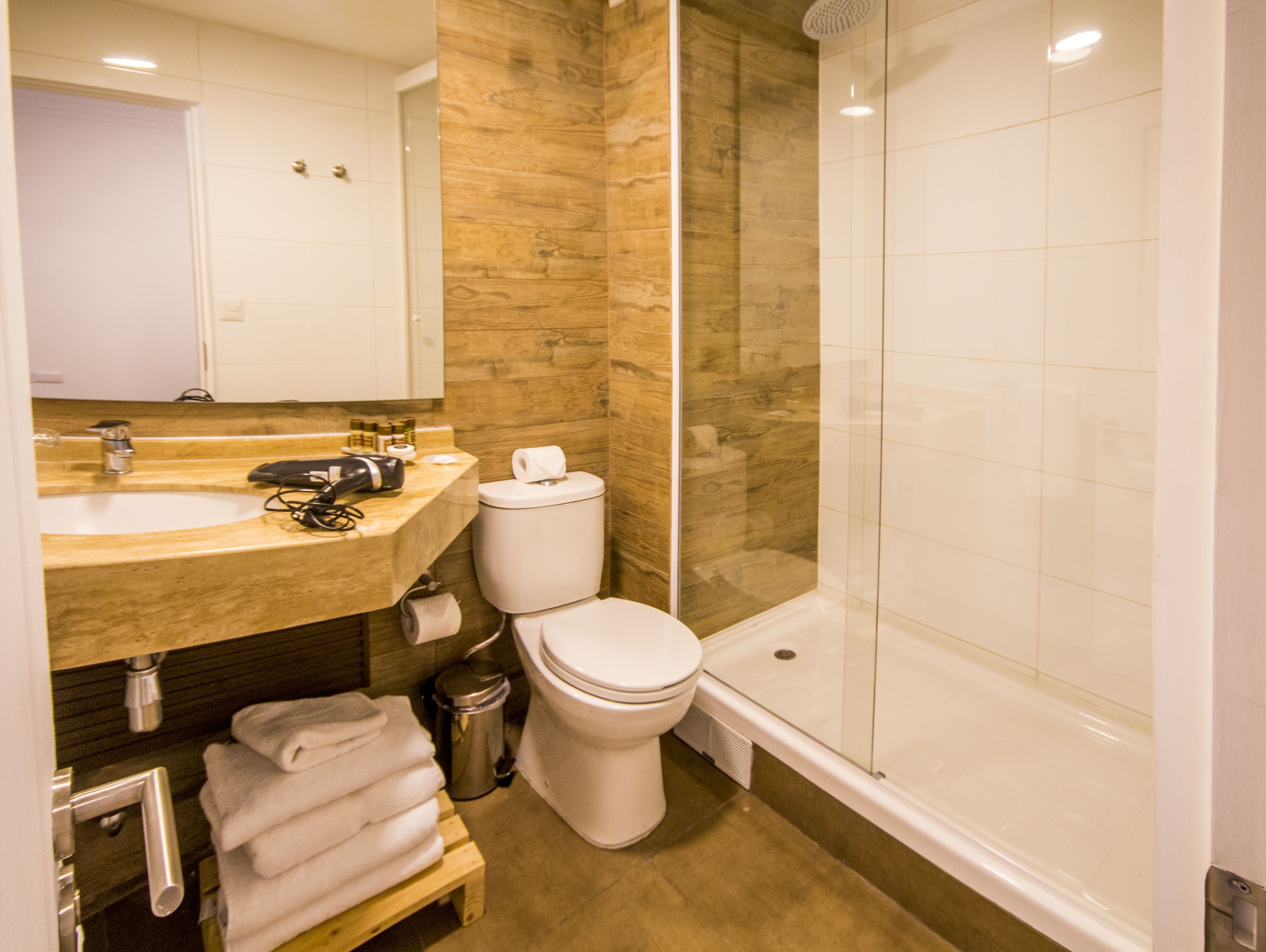 superior apartment, 1 queen bed, beach view (3 people) | bathroom | shower, free toiletries, hair dryer, towels