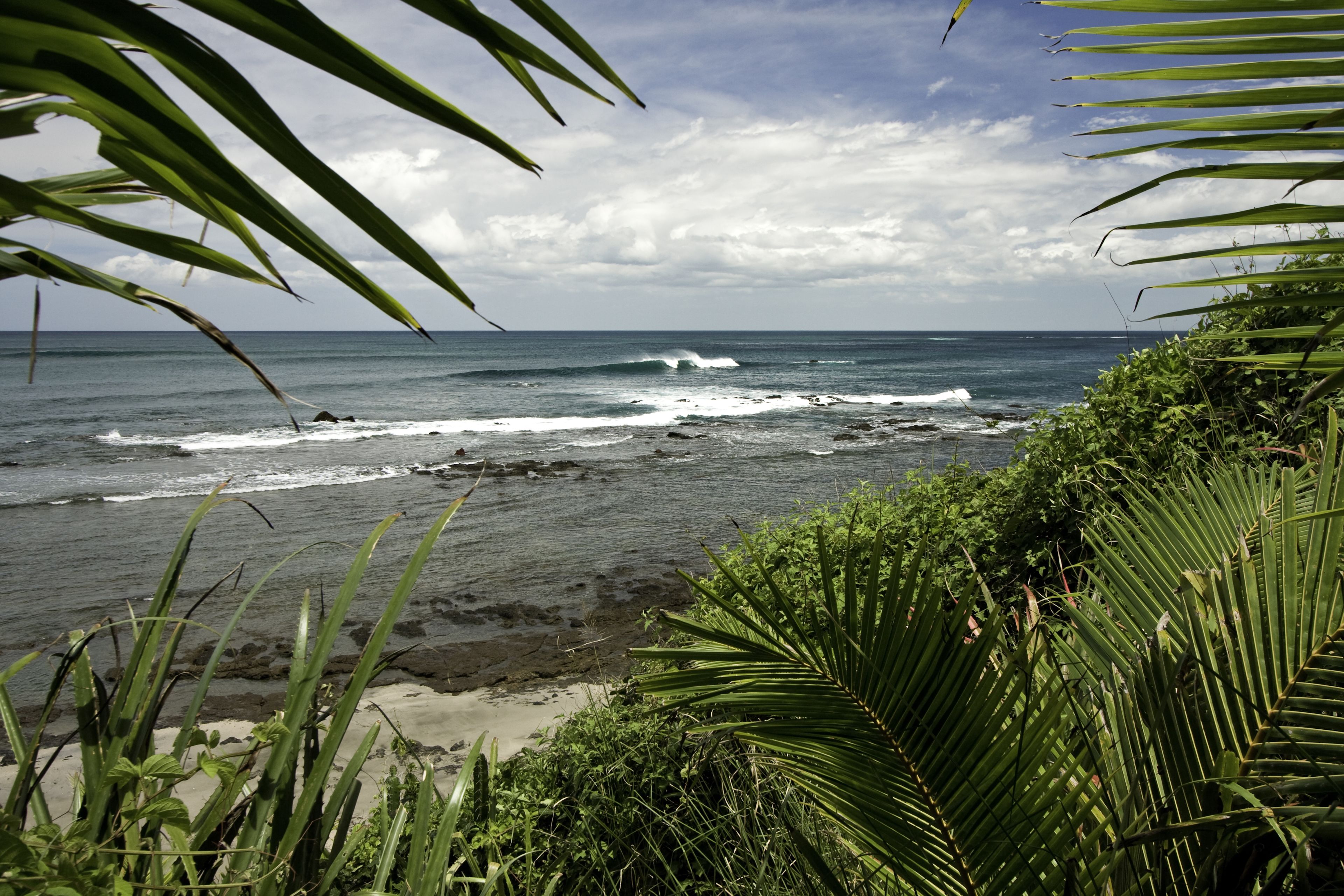 A coastal view with waves, greenery, and a clear sky.