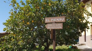 Exterior - Turismo Rural El Piensu (Villaviciosa)