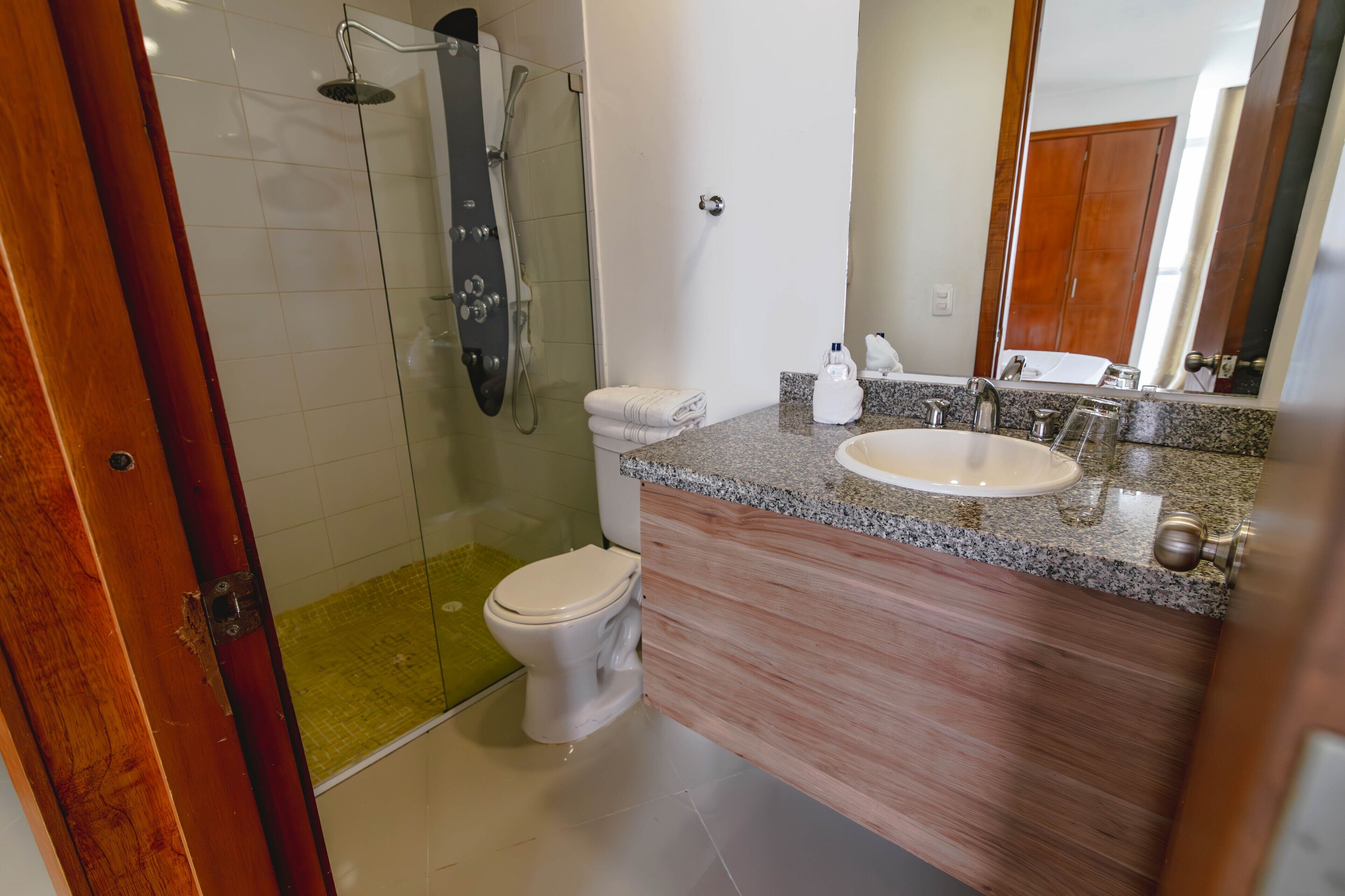 A bathroom with a glass-enclosed shower, a white toilet, a granite countertop sink, and a large mirror.
