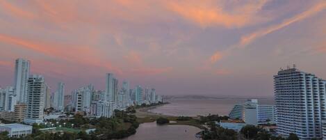 A high-rise hotel with a view of the water and city skyline.