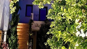 A building with a blue facade, a wooden entrance, and a garden area with green foliage.