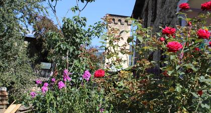 Ecohouse Svaneti