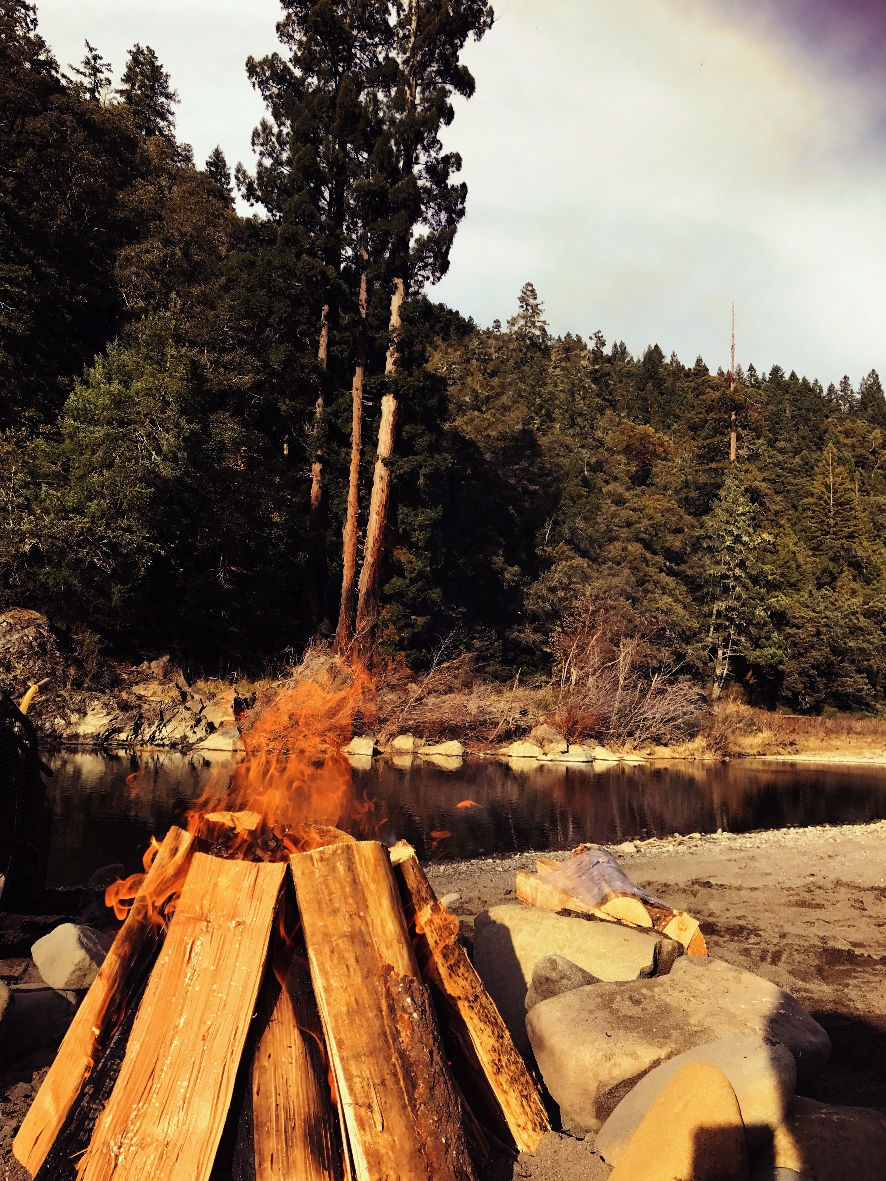 Ein Lagerfeuer mit Holzscheiten und freier Sicht auf bewaldetes Gebiet und ein Gewässer im Hintergrund.