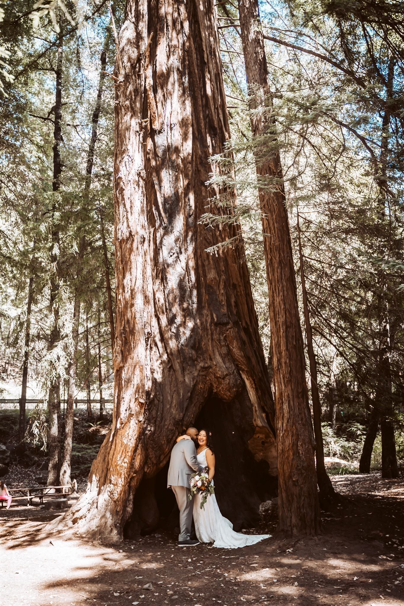 Una pareja se abraza bajo un árbol grande en una zona boscosa.
