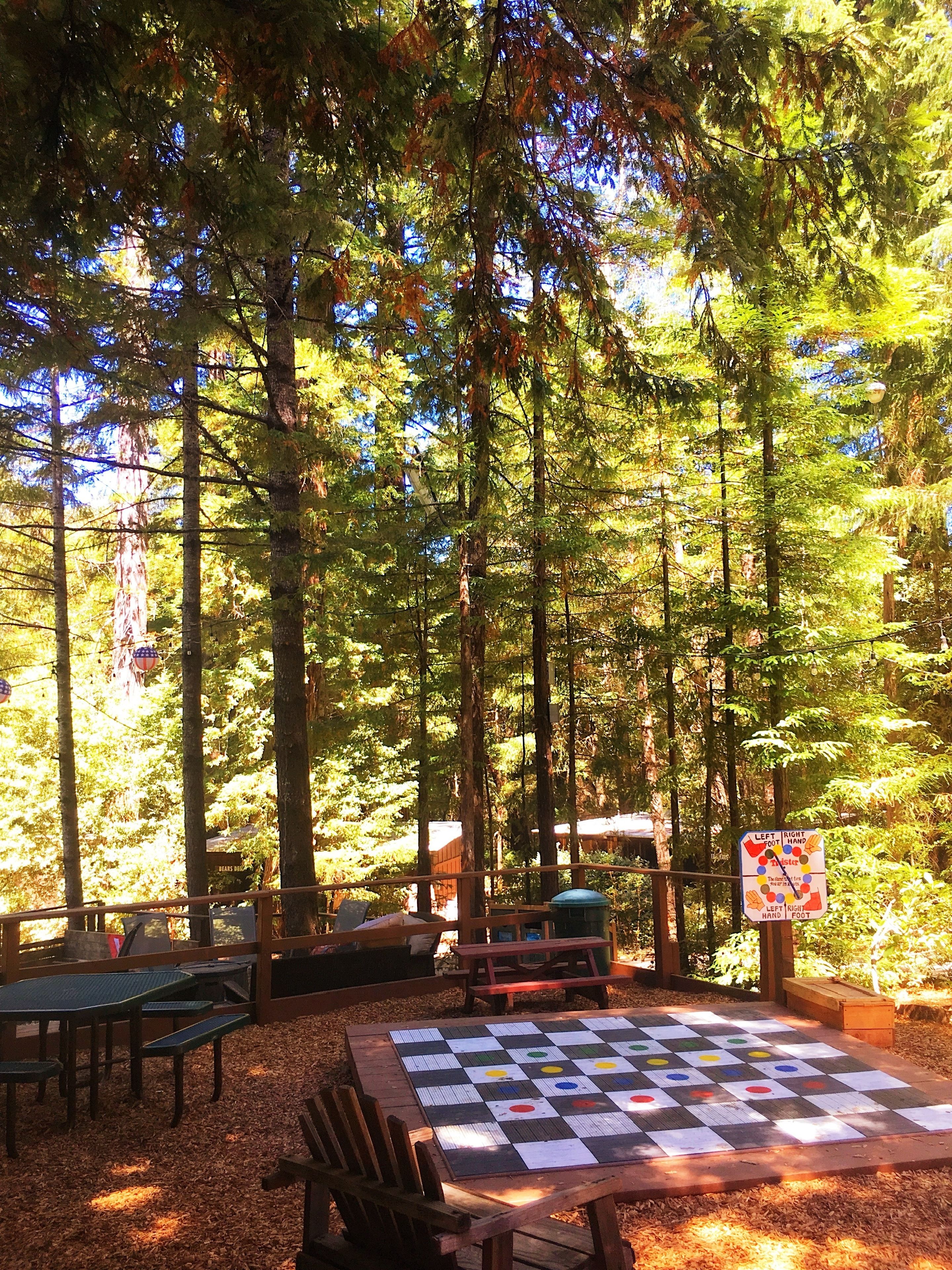A picnic area with a checkered game board, picnic tables, and benches surrounded by tall trees.