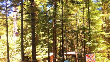 A picnic area with a checkered game board, picnic tables, and benches surrounded by tall trees.