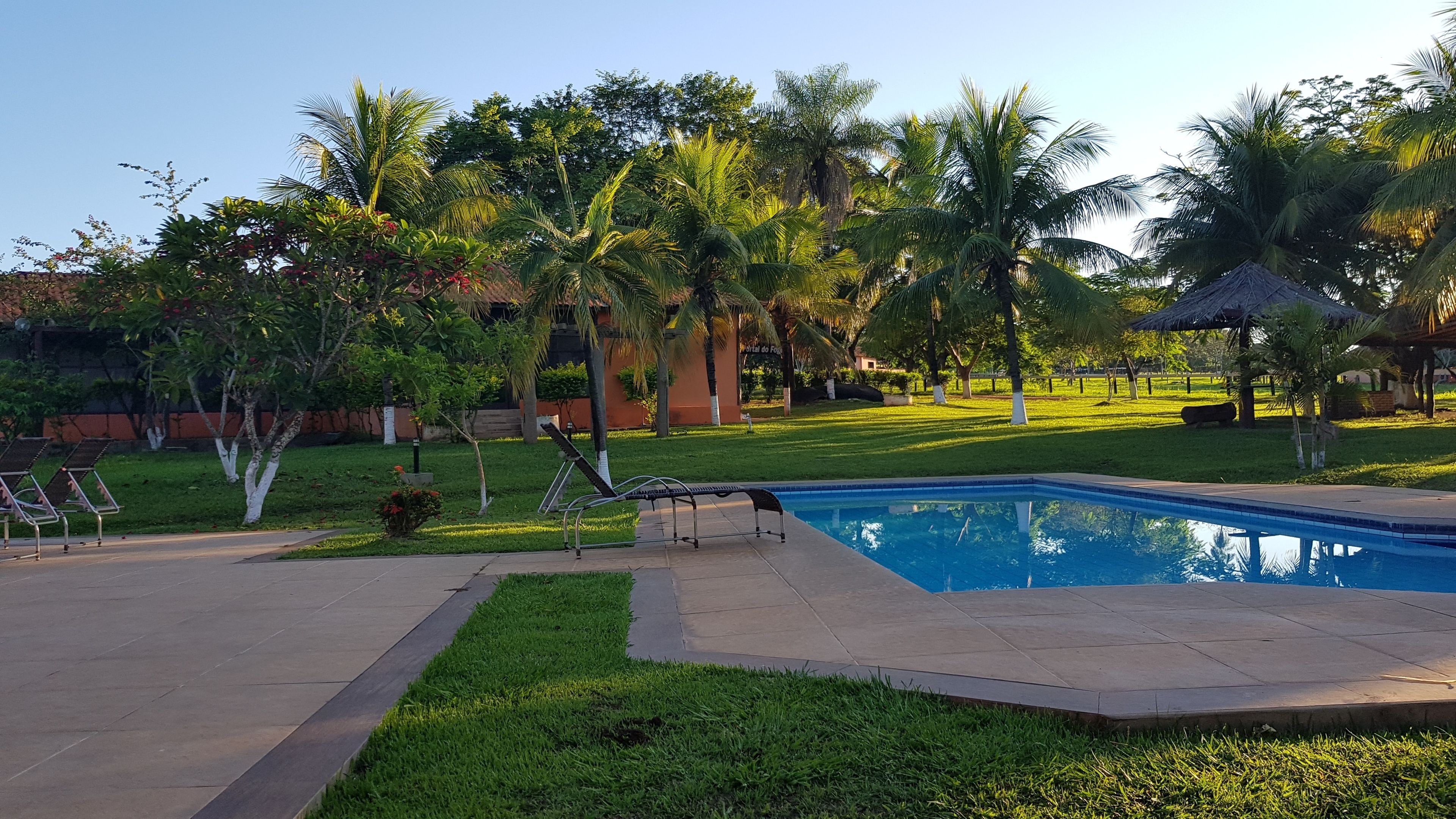 A swimming pool surrounded by a well-maintained lawn, palm trees, and lounge chairs.