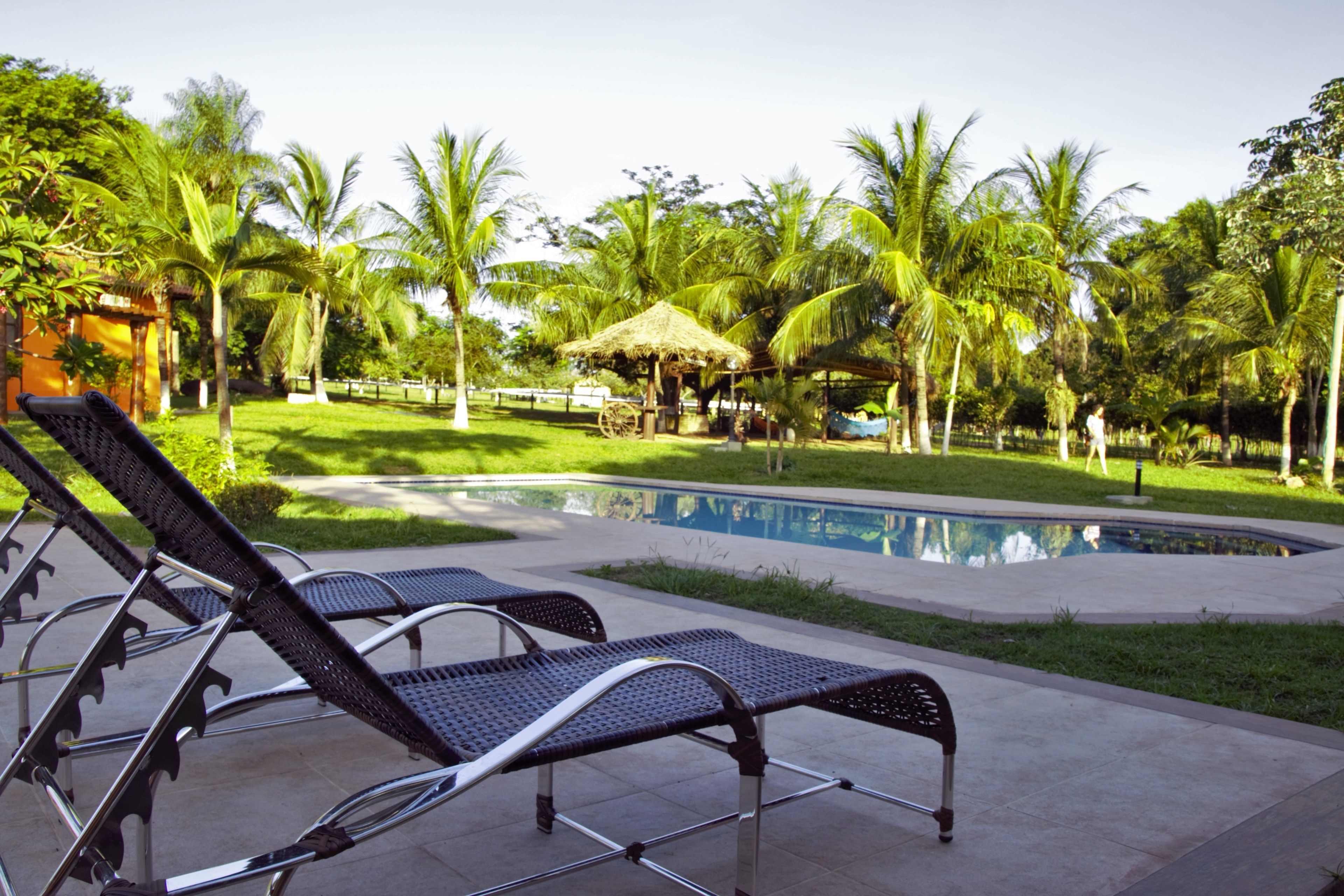 A poolside area with lounge chairs, a small pool, and palm trees.