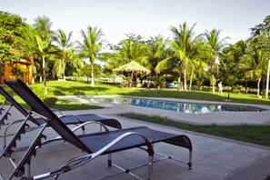 A poolside area with lounge chairs, a small pool, and palm trees.
