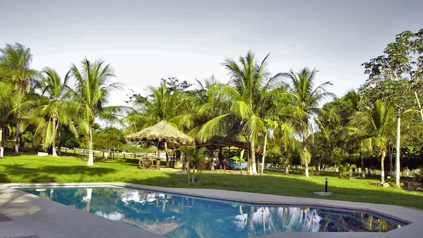A swimming pool surrounded by palm trees and a grassy area. - Pantanal Ranch Meia Lua (Miranda)