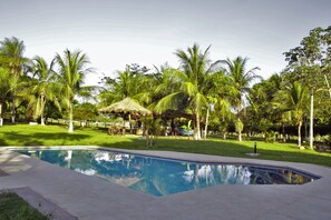 A swimming pool surrounded by palm trees and a grassy area. - Pantanal Ranch Meia Lua (Miranda)