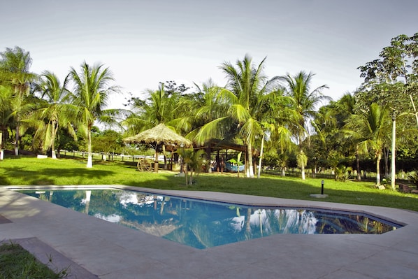 Outdoor pool, sun loungers