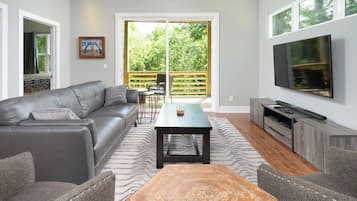 TV connectée, cheminée, chaßne hi-fi