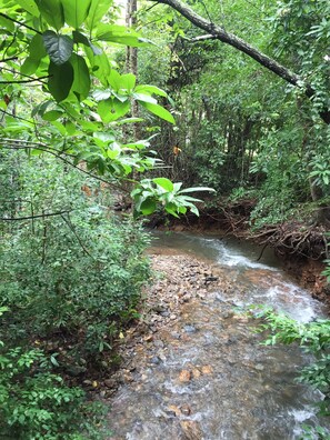 Àrea exterior de l'allotjament