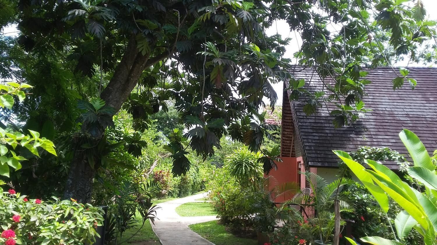A pathway leading through a lush garden with a variety of plants and trees, a small building with a dark roof, and a clear sky.