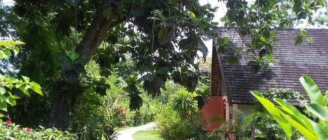 A pathway leading through a lush garden with a variety of plants and trees, a small building with a dark roof, and a clear sky.