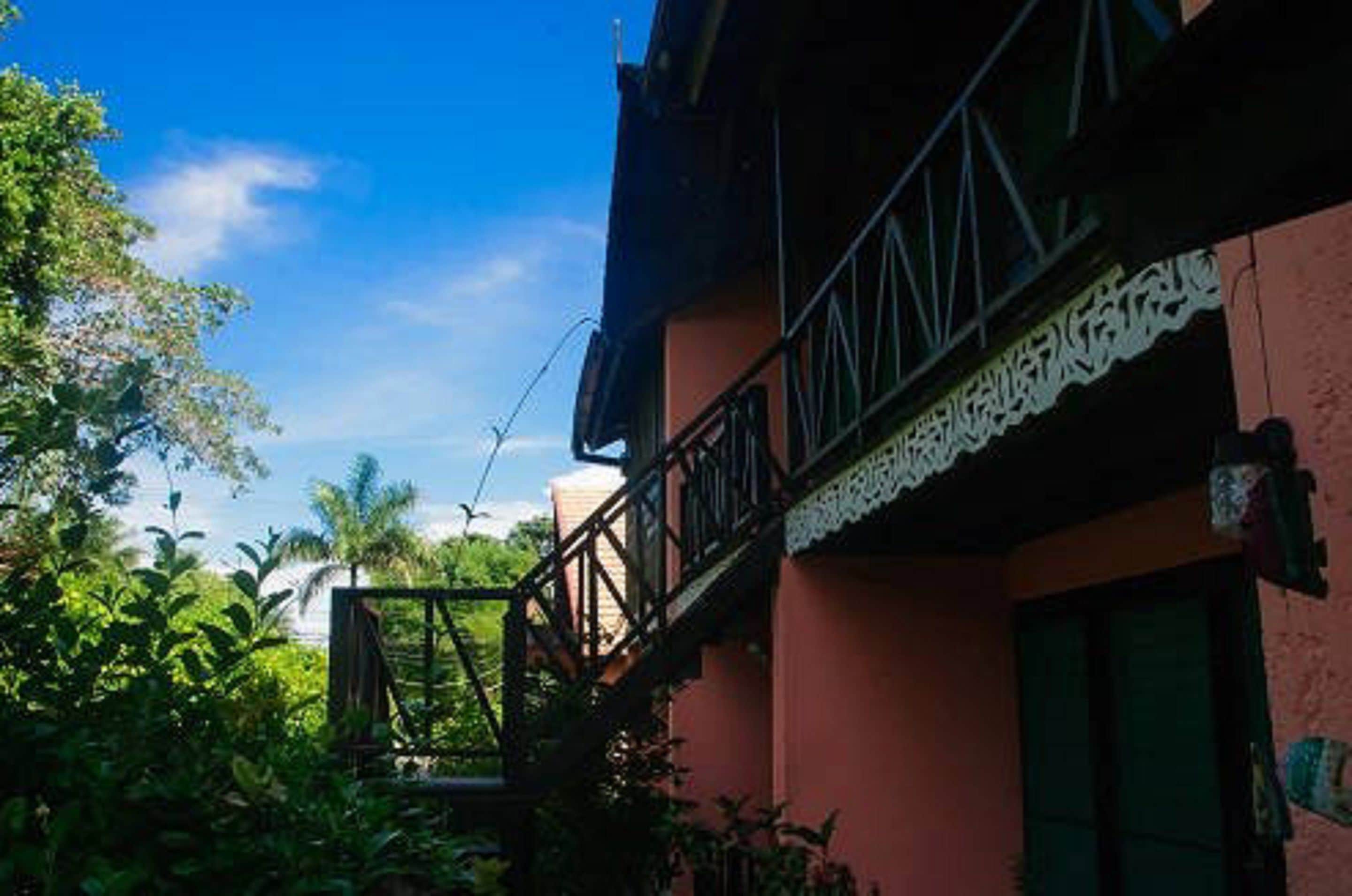 Un bâtiment doté d’un balcon, entouré d’une végétation luxuriante et surplombant un ciel d’un bleu limpide.