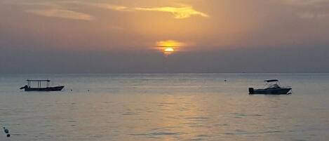 Playa privada, playa de arena blanca y bar en la playa