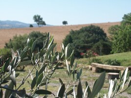 Land view from property