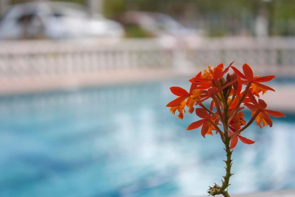 A pool with a blurred background of a fence and parked cars.