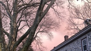 En bygning af sten med en veranda og et sort metalhegn.