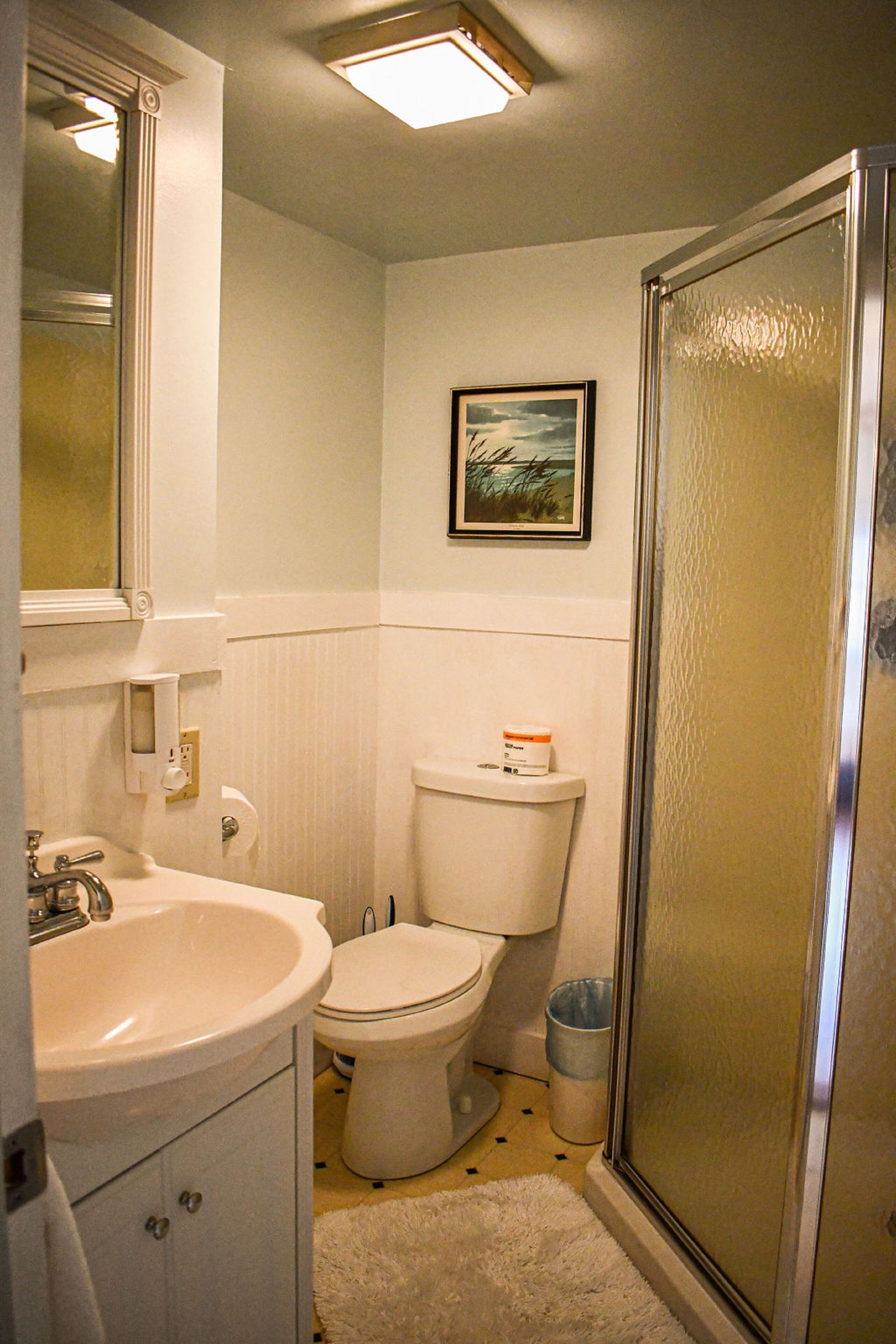 Un baño con lavamanos, inodoro y ducha.