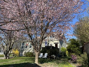Terrace/patio - Beautiful home/neighborhood, near mansions, beach, Cliff Walk, town, 30 day min (Newport)
