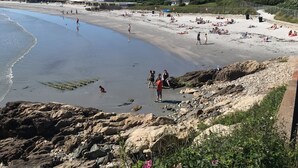 Ein Strand mit Menschen, die spazieren gehen und entspannen. In der Nähe des Wassers liegen Felsen und Pflanzen.