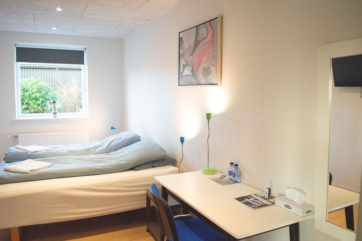 A bedroom with a bed, a desk, a chair, a window with a view of greenery, a radiator, and a painting on the wall.