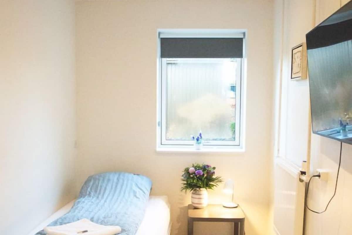 A small, well-lit room with a single bed, a small table with a plant, a TV mounted on the wall, and a window providing natural light.