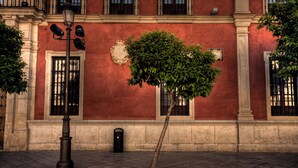 Fachada de edificio con pared roja, un árbol en primer plano y una farola.