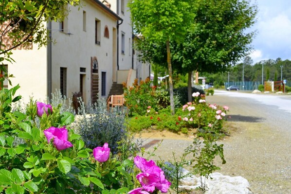 Overnattingsstedets uteområder