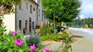 A building with a garden in front, a paved path, and a road with a car in the background.