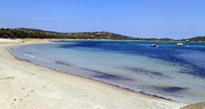 House / Villa - Saint-Cyprien