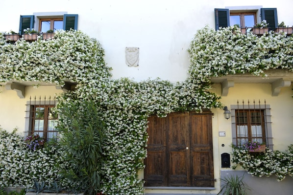 Exterior detail