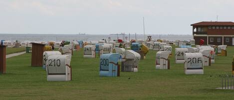 A row of numbered mailboxes on a grassy field with a view of the sea in the background.