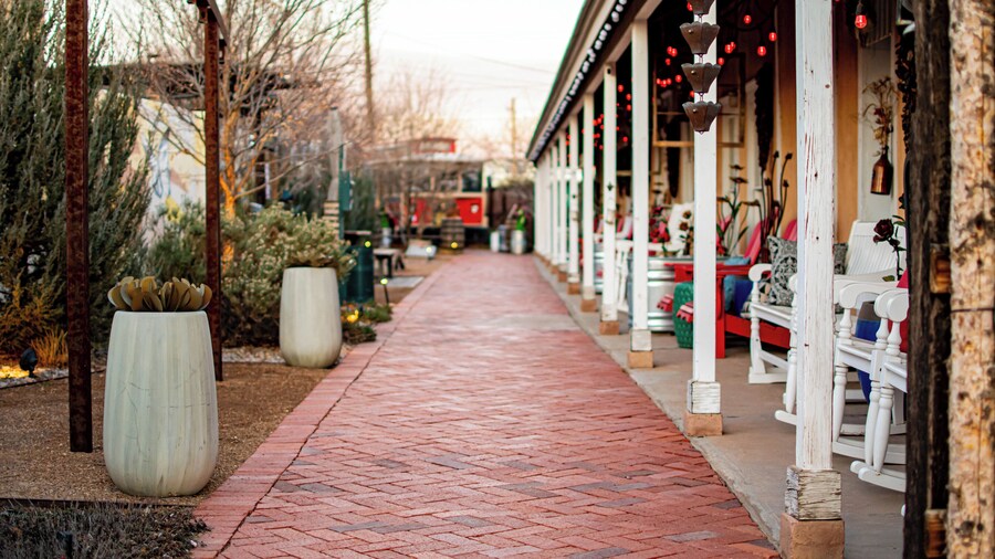 Painted Lady Bed & Brew